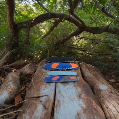 Σαγιονάρες σε ξύλινο κορμό σε δάσος.