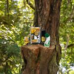 Προϊόντα φροντίδας πουδρών σε δέντρο στο δάσος.